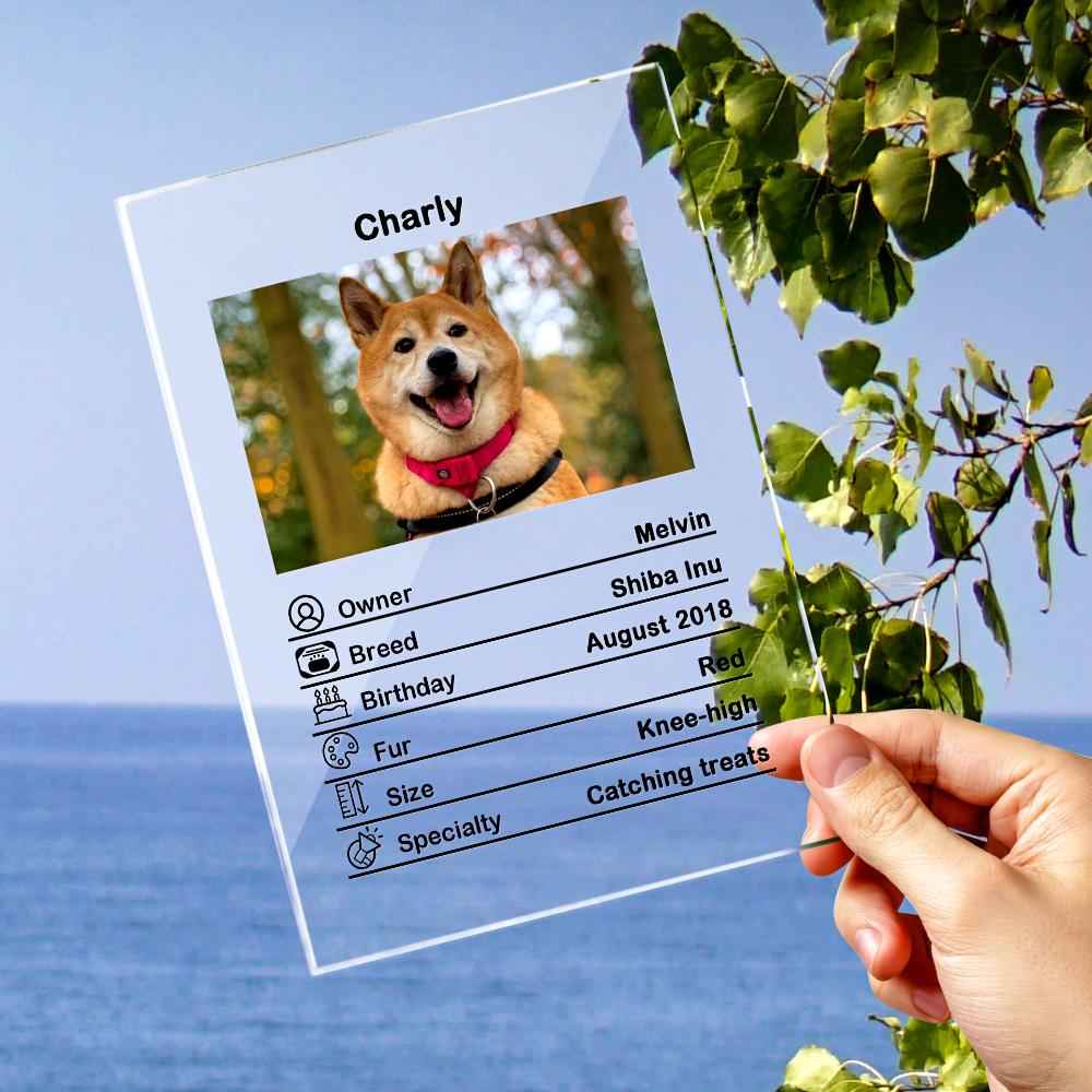 Custom Photo Acrylic Plaque Personalized Pet Information Desk Decorative Ornaments - 12*16cm