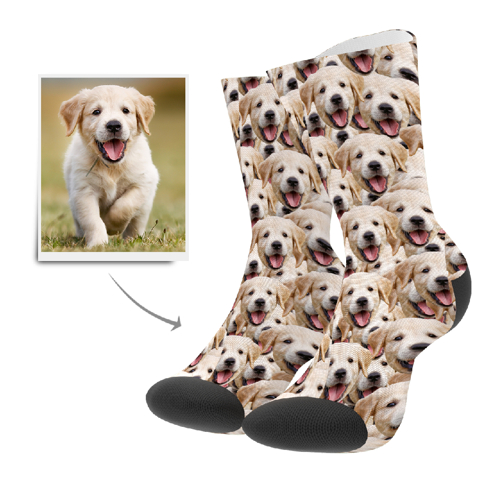 Close-up of a personalised pet photo sock with a printed dog face on a white crew sock — custom pet photo socks for men, women and kids