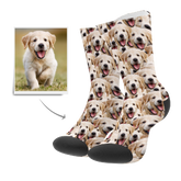 Custom Pet Photo Socks With Face