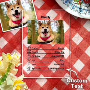 Custom Photo Acrylic Plaque Personalized Pet Information Desk Decorative Ornaments - 12*16cm