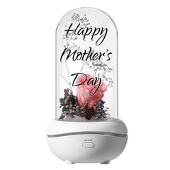 Custom Eternal Flower Aromatherapy Lamp Essential Oil Colorful Night Light