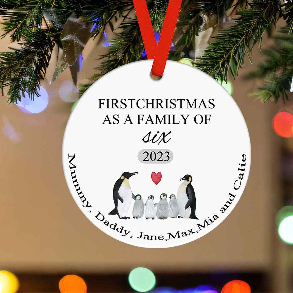 First Christmas Family Custom Name Ornament 2023 Christmas Gift
