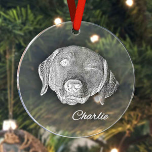 Personalized Pet Ornament Christmas Pet Face and Name Ornaments Gift for Pet Lovers