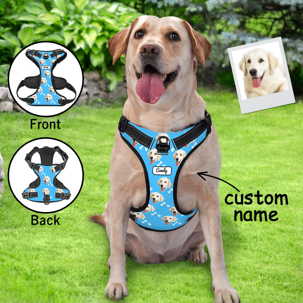 Demonstration of harness adjustment points — four adjustable straps on personalised breathable no-pull reflective vest for perfect fit