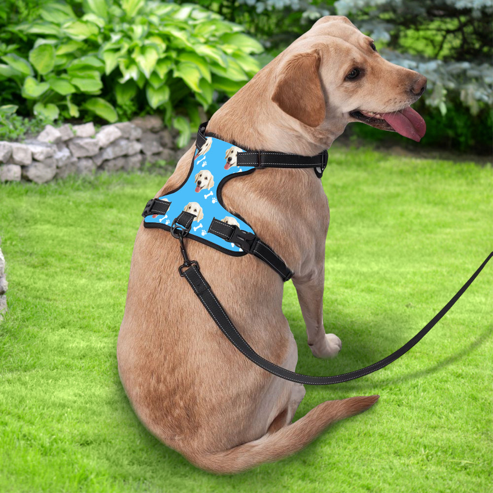 Detail of quick-release buckles and sturdy D-ring on personalised reflective harness — easy on/off and secure control