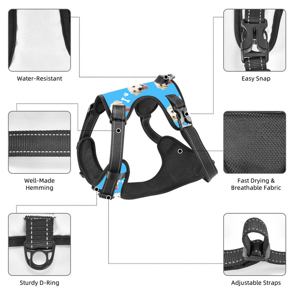 Front chest view of personalised reflective harness showing snug fit and no-pull clip placement for better walking control
