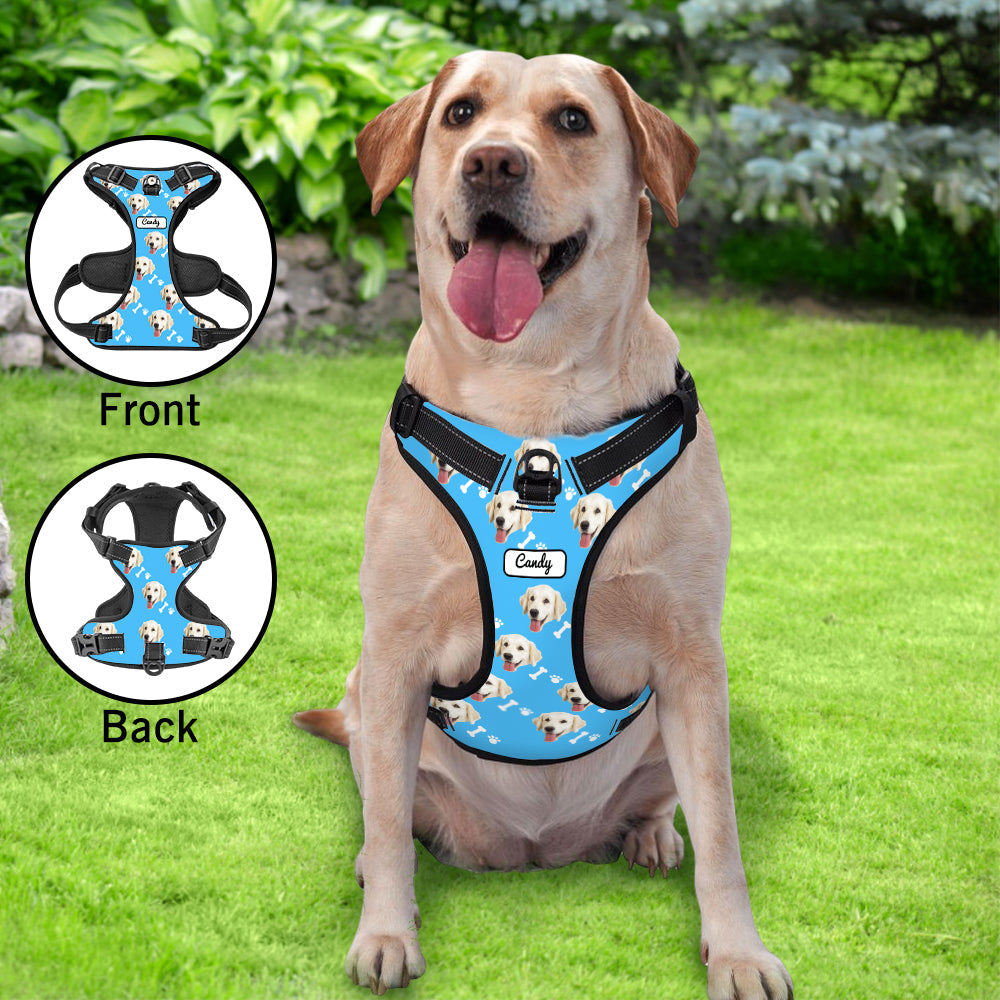 Lifestyle shot of personalised no-pull reflective dog harness on dog — breathable vest for comfortable daily walks and training