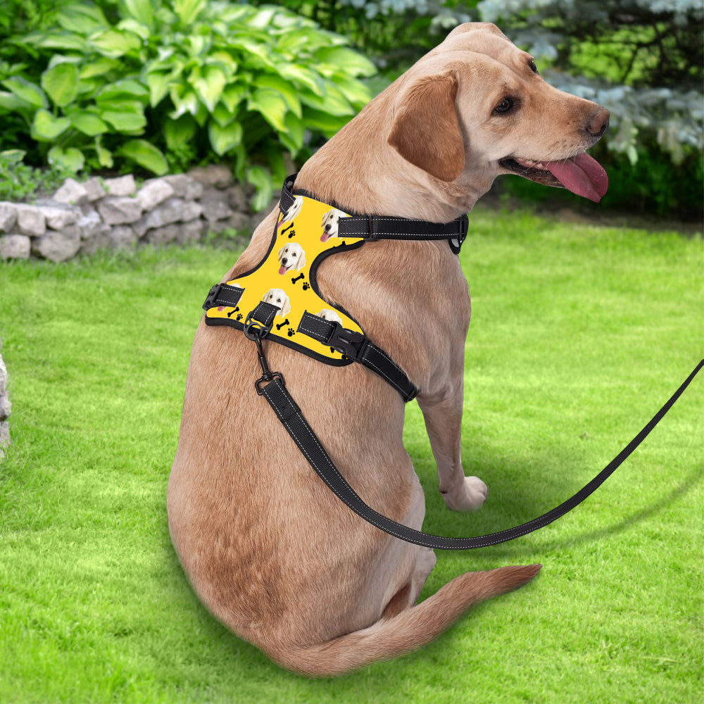 Close-up of personalised dog harness showing breathable air-mesh and bright reflective strip — no-pull design detail