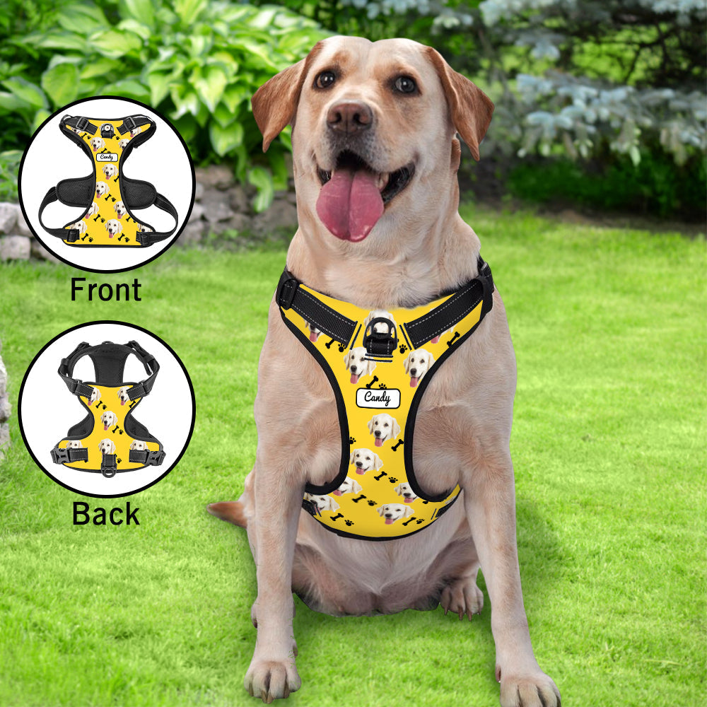Lifestyle shot of personalised no-pull reflective dog harness on dog — breathable vest for comfortable daily walks and training