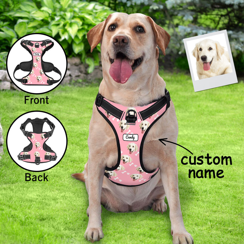 Personalised no-pull harness laid out to show customisation area and strap adjustments — breathable, lightweight design