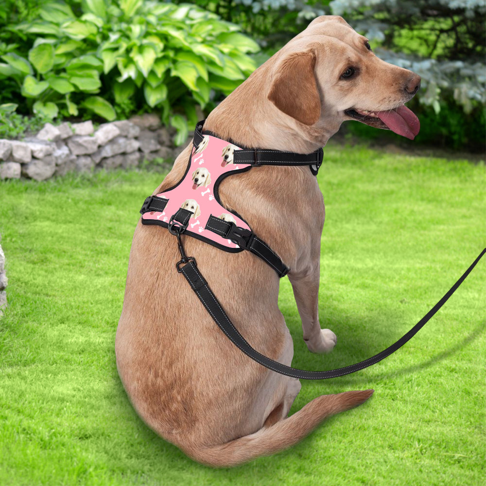 Close-up of printed custom name and photo on personalised reflective harness — ideal gift for pet lovers and owners
