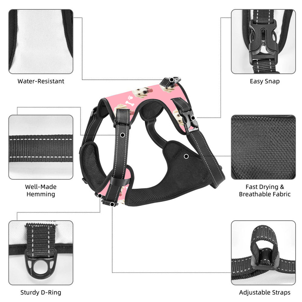 Model shot of dog wearing personalised adjustable harness — reflective strips visible for low-light safety on walks