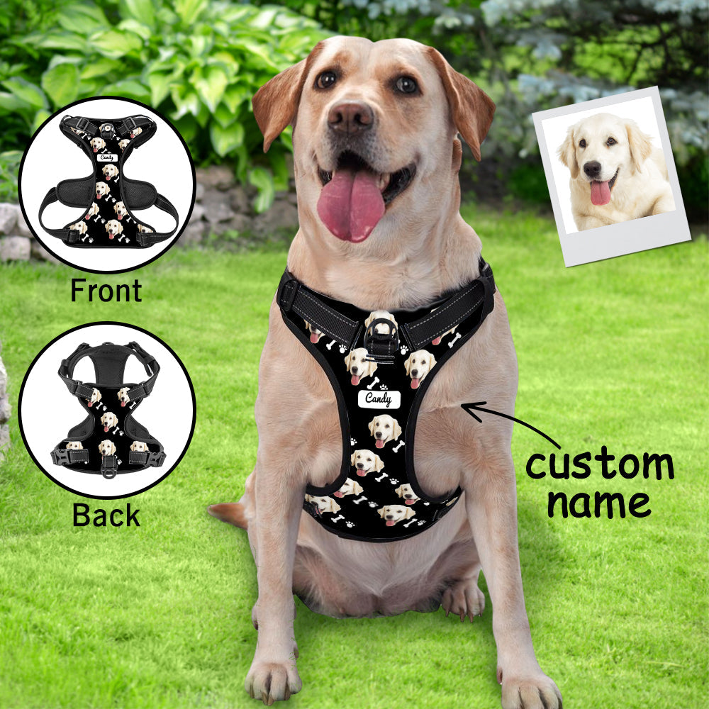 Personalised reflective dog harness in different style variant — adjustable, breathable vest with quick-release buckles