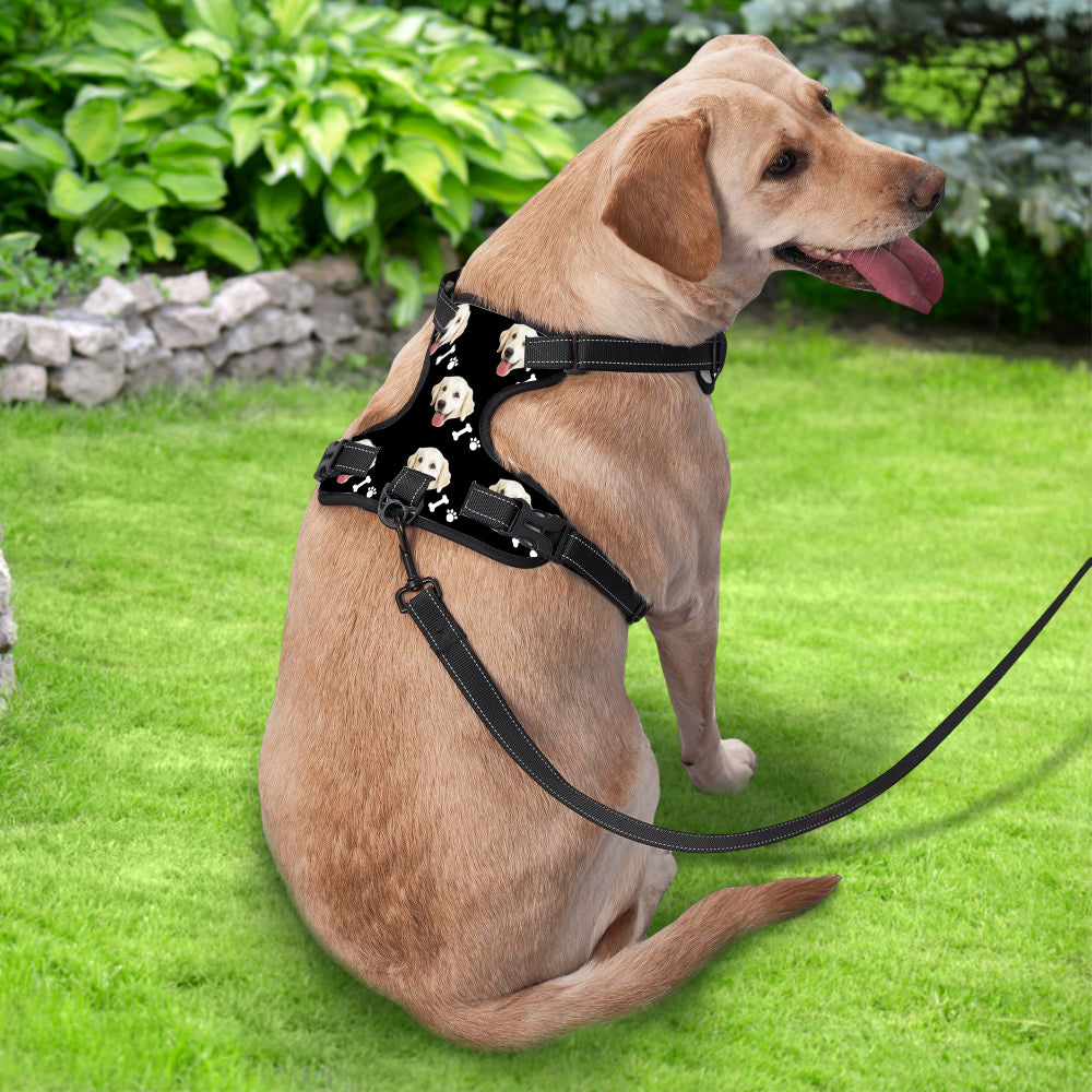 Detailed view of reflective strip and mesh fabric on personalised no-pull harness for enhanced visibility day and night