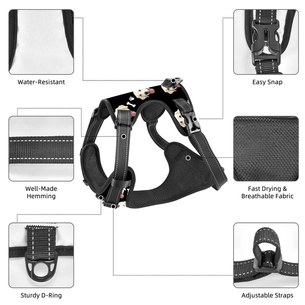 Dog wearing personalised no-pull reflective harness on a walk — shows fit, visibility and comfortable air‑mesh panels