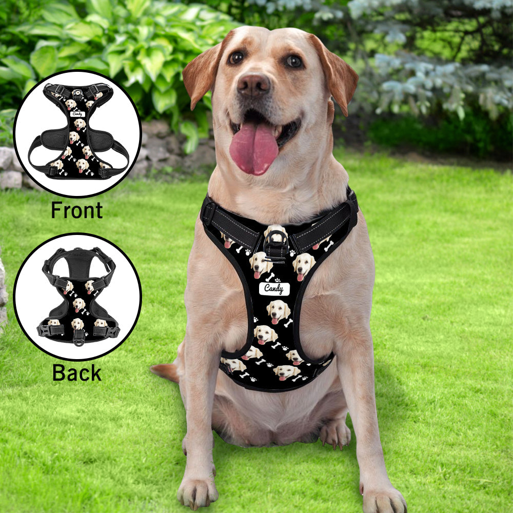 Personalised no-pull harness laid out to show customisation area and strap adjustments — breathable, lightweight design
