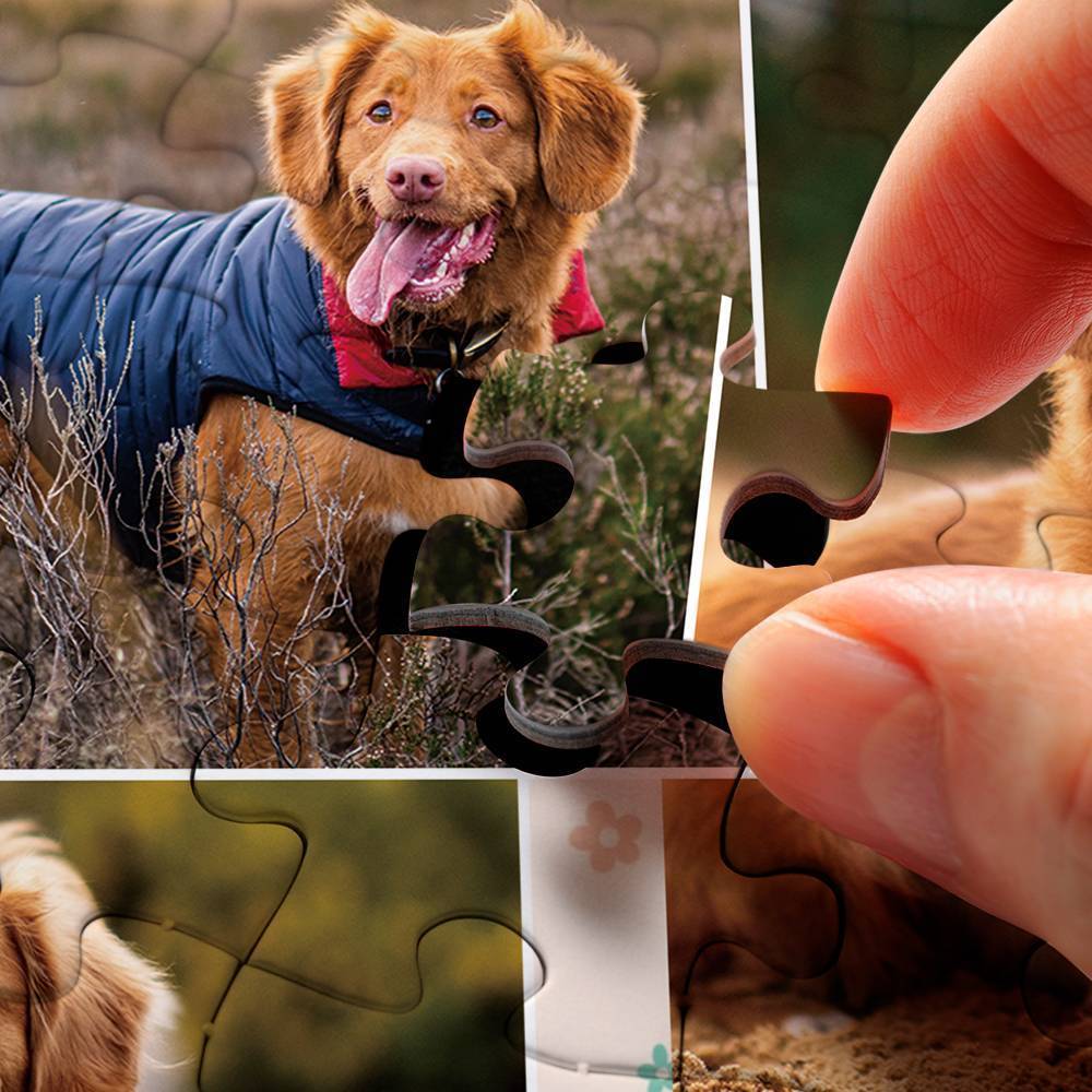 Personalised pet photo jigsaw puzzle displayed as framed wall art — custom puzzle gift idea for pet lovers, perfect personalised photo gift for home décor in Australia & UK