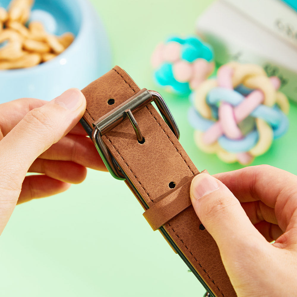 Close-up of neat engraving and stitched edge on a personalised pet collar — engraved leather dog collar with clear lettering for quick identification