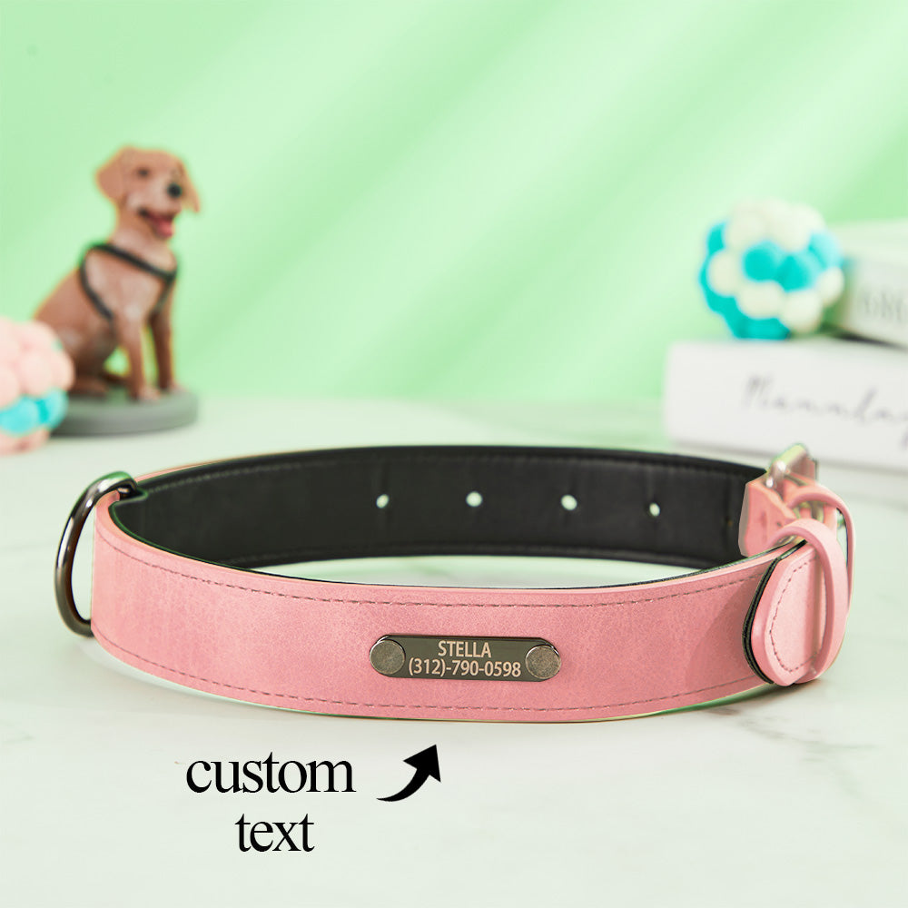 Personalised dog collar presented as a thoughtful gift, engraved with name and phone number — perfect for Valentine’s Day or pet memorial gifts