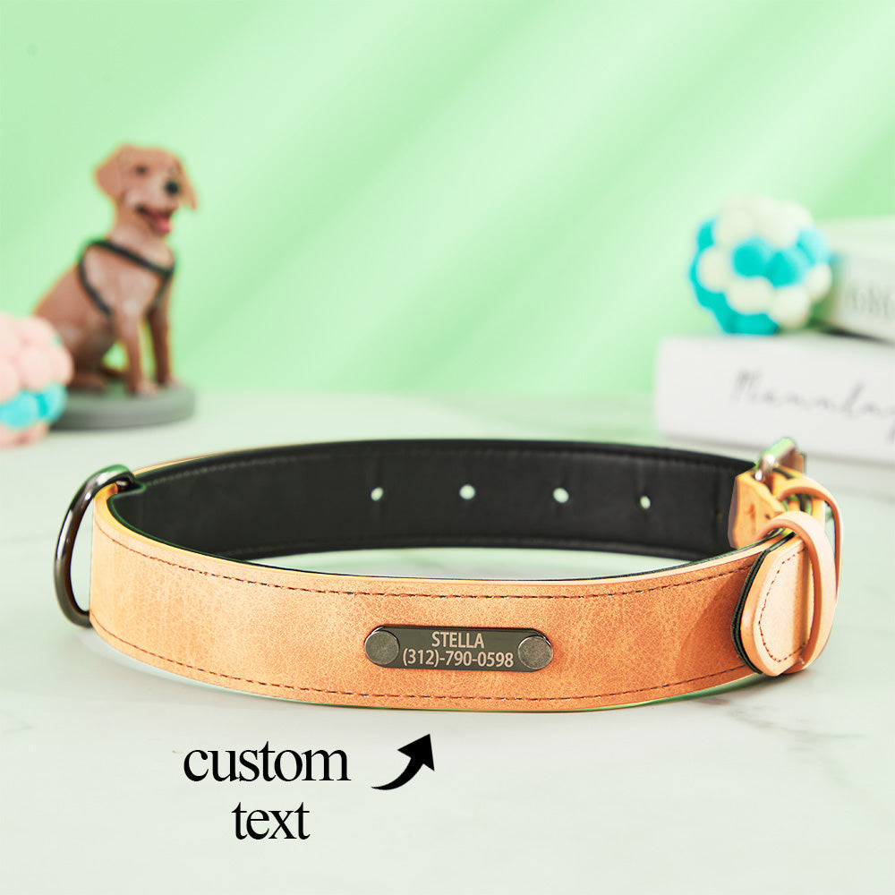 Black leather personalised pet collar with clear engraved contact details for quick identification — sturdy, soft and low-profile design