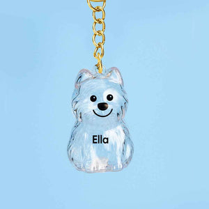 Custom Name Dog Hair Collector Keychain Bag Charm Memorial Storage Box with Text Perfect for Storing Pet Hair Gift for Dog Lovers