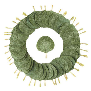 100PCS Eucalyptus Petals for Weddings Aisles Flower Girls and Romantic Evenings