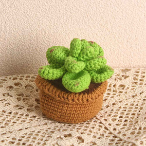 Succulent Crochet Potted Plants Completed Hand Woven Knitted Potted Plants Gift for Handicraft Lover