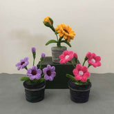 Pipe Cleaner Potted Plant Handmade Twist Stick Flowers Gift for Her or Him