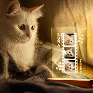 Custom Cat Photo Lamp as Cat Lover Gift Personalized Gift Photo Pet Portrait Bedside Lamp Night Light