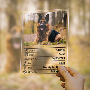 Customized Photo Clear Plaque Personalized Pet Information Acrylic Desktop Decoration