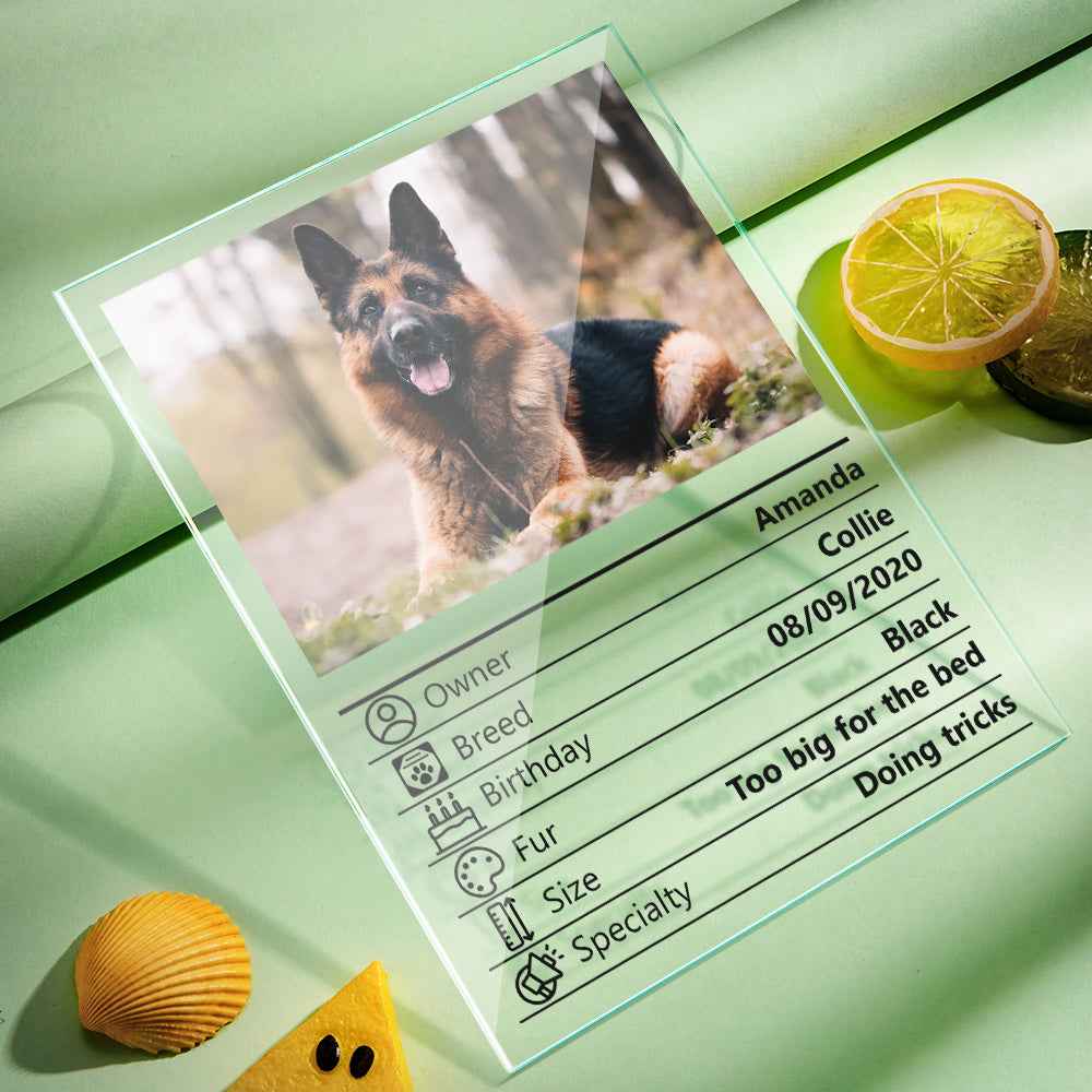 Customized Photo Clear Plaque Personalized Pet Information Acrylic Desktop Decoration