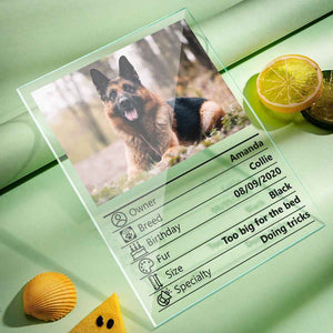 Customized Photo Clear Plaque Personalized Pet Information Acrylic Desktop Decoration