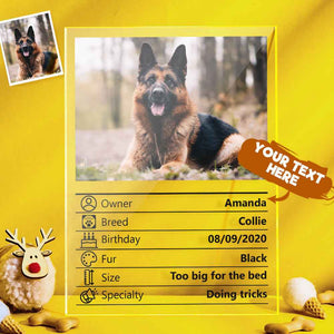 Customized Photo Clear Plaque Personalized Pet Information Acrylic Desktop Decoration