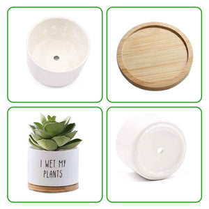 Custom Flower Planter Pot Personalized Text Ceramic Succulent Plant Pot