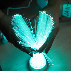 Personalised Fibre Optic Photo Lamp - Custom Colour Changing Night Light with Crystal Base
