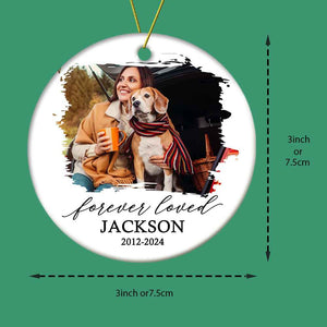 Personalized Memorial Pet Ornament Christmas Ornament Christmas Gift for Pet Lovers
