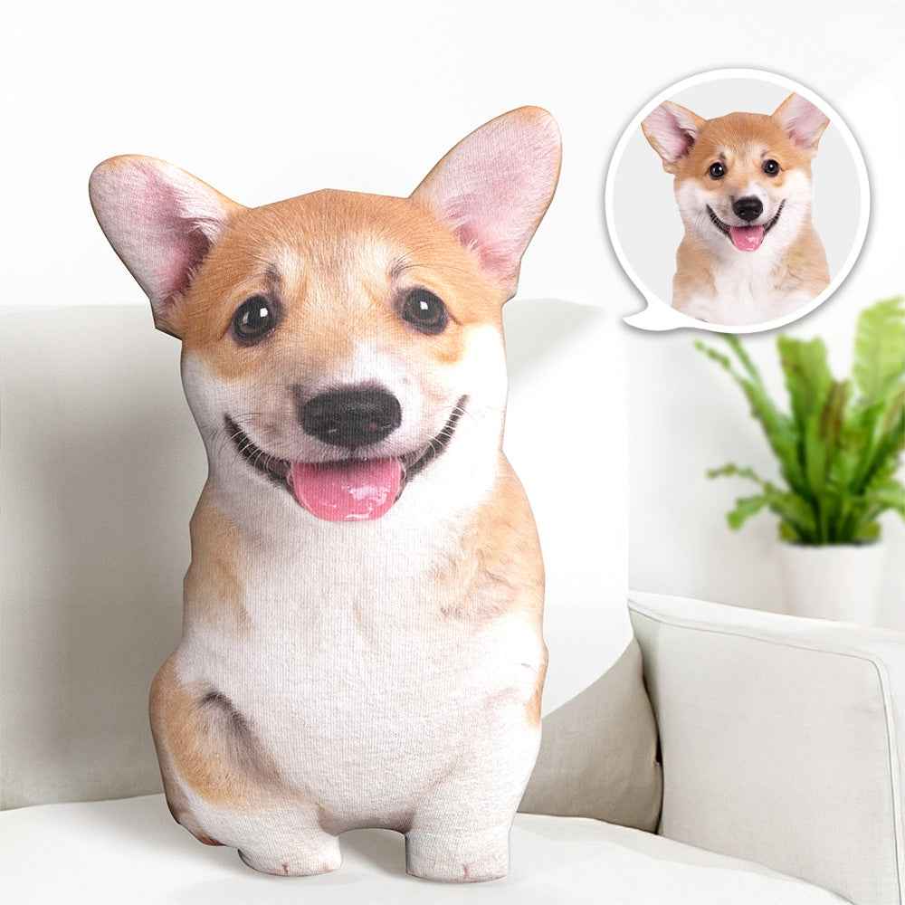 Hot Ugly Cat or Dog Zany Pillow Custom Pet Pillow Personalized Pet Pillow from Photo Pet Loss Memorial Gift Pet Lover Gift
