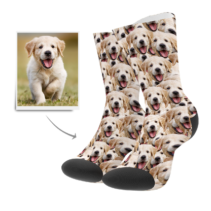Close-up of a personalised pet photo sock with a printed dog face on a white crew sock — custom pet photo socks for men, women and kids