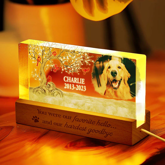 Personalised pet photo night light glowing with a dog portrait — acrylic LED memorial gift and custom keepsake for bereaved pet owners