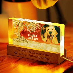 Personalized Pet Photo Night Light Custom Photo Light Memorial Gift for Pet Lover