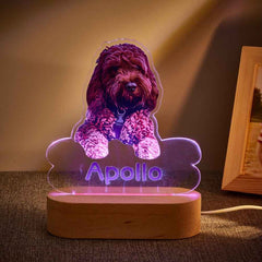 Personalized Pet Shaped LED Night Light Custom Dog Name Table Lamp