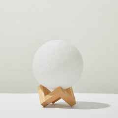 Custom 3D Printed Photo Lunar Light Moon Lamp