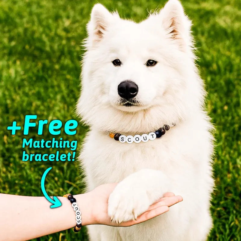 Personalised Pet Name Necklace with Free Matching Bracelet