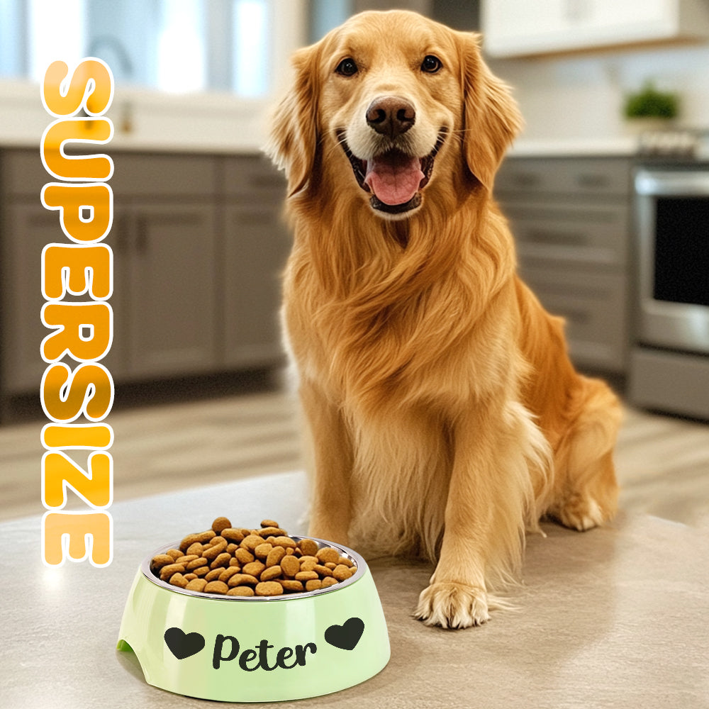 Close‑up of engraved personalised text on stainless steel pet bowl, showing crisp precision engraving ideal for keepsakes