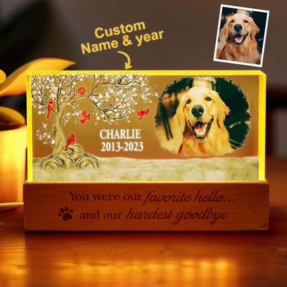 Personalised pet photo night light glowing with a dog portrait — acrylic LED memorial gift and custom keepsake for bereaved pet owners