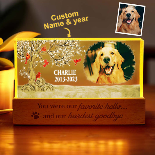 Personalised pet photo night light glowing with a dog portrait — acrylic LED memorial gift and custom keepsake for bereaved pet owners
