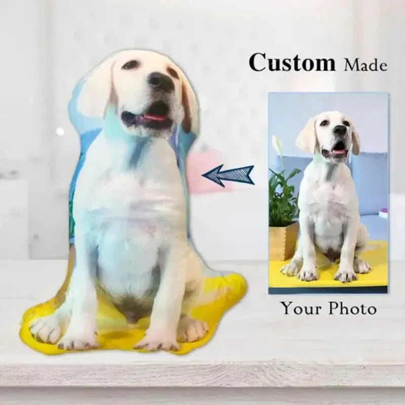 Custom Pet Photo Pillow | Personalised 3D Pet Portrait Cushion