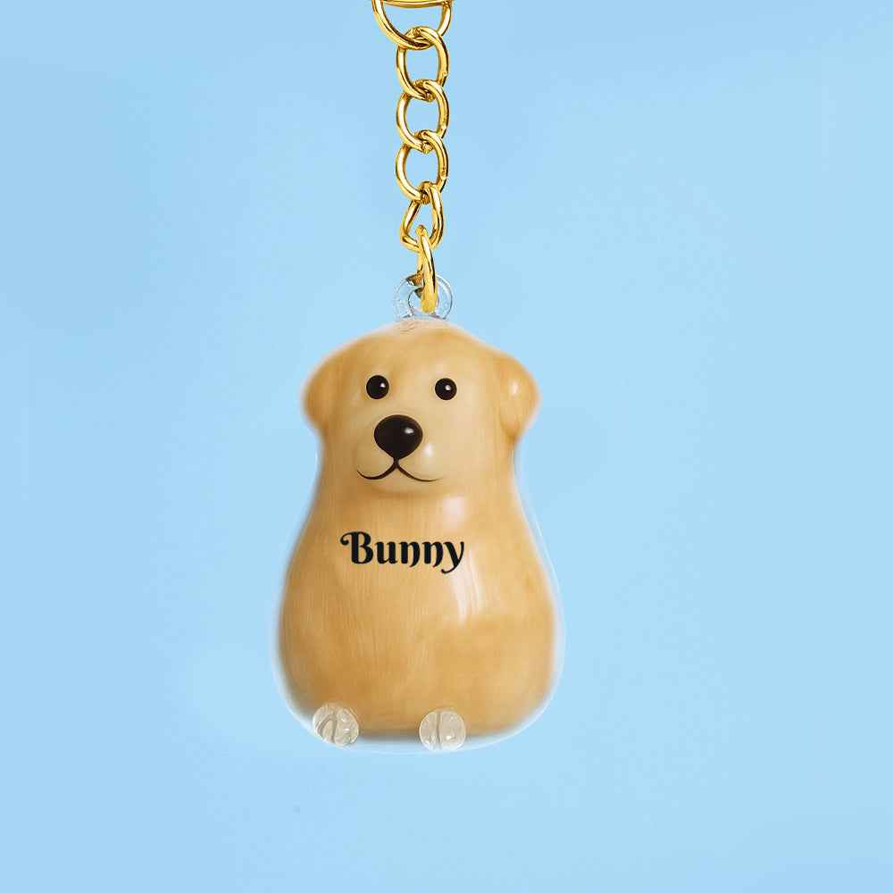 Custom Name Dog Hair Collector Keychain Bag Charm Memorial Storage Box with Text Perfect for Storing Pet Hair Gift for Dog Lovers