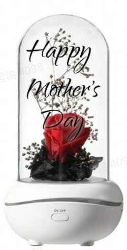 Custom Eternal Flower Aromatherapy Lamp Essential Oil Colorful Night Light