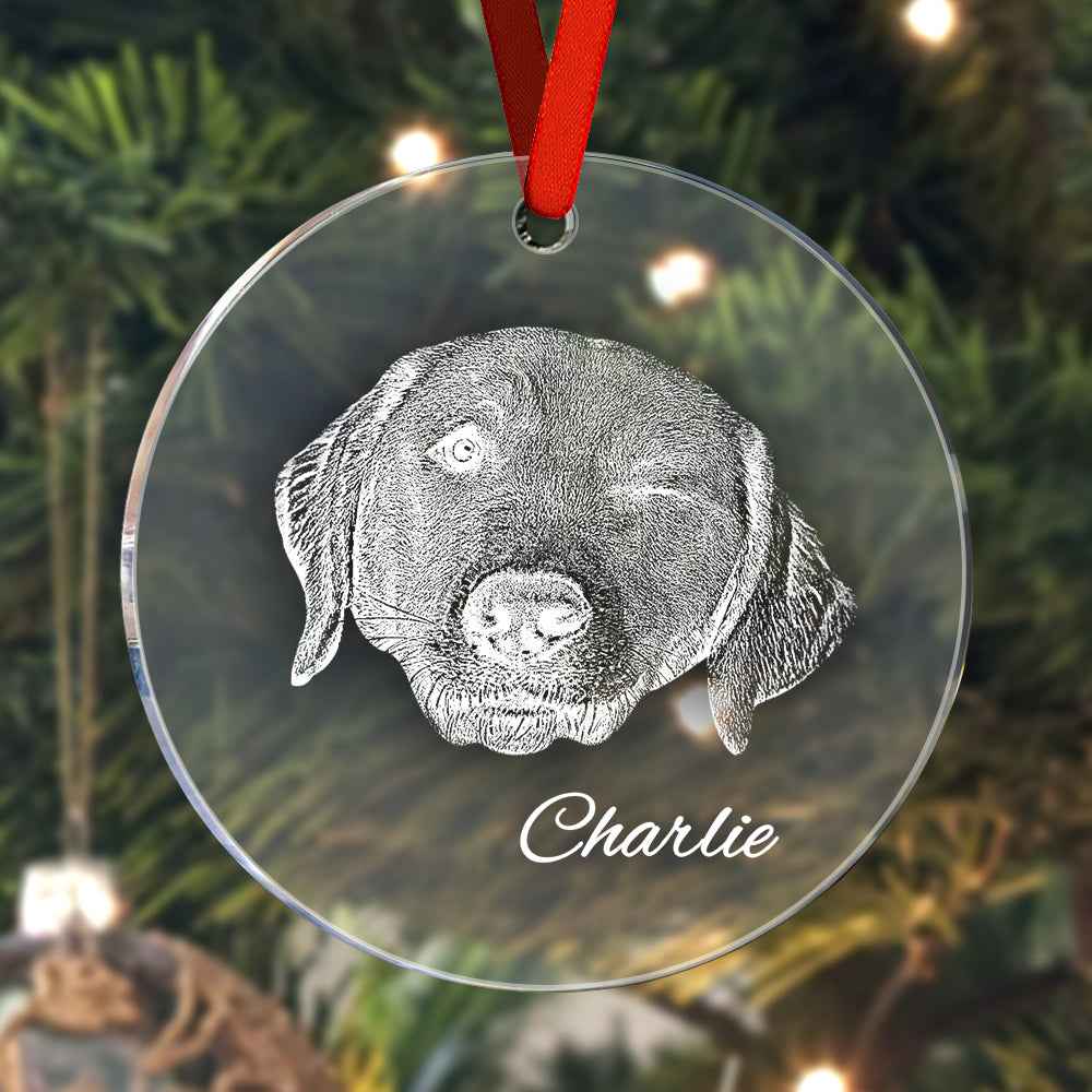 Personalized Pet Ornament Christmas Pet Face and Name Ornaments Gift for Pet Lovers